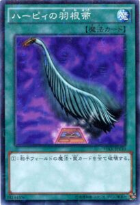 遊戯王を代表する魔法・罠除去カード